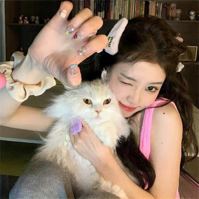 龙虎武师